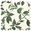 Plum Line, Coriscon - Roller Blind
